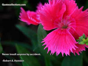 robert_a_heinlein_quotes Quotes 2